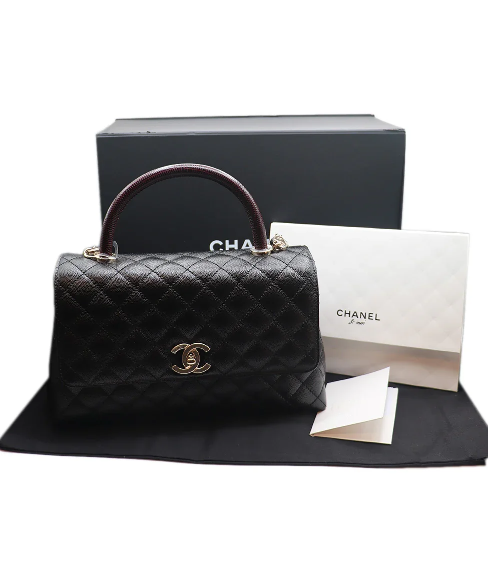 Chanel Black Leather Brown Large Coco Handle Handbag - Image 6